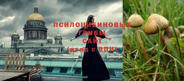 соль курить ск Алексин